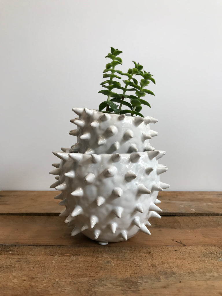 White Spiky Planter