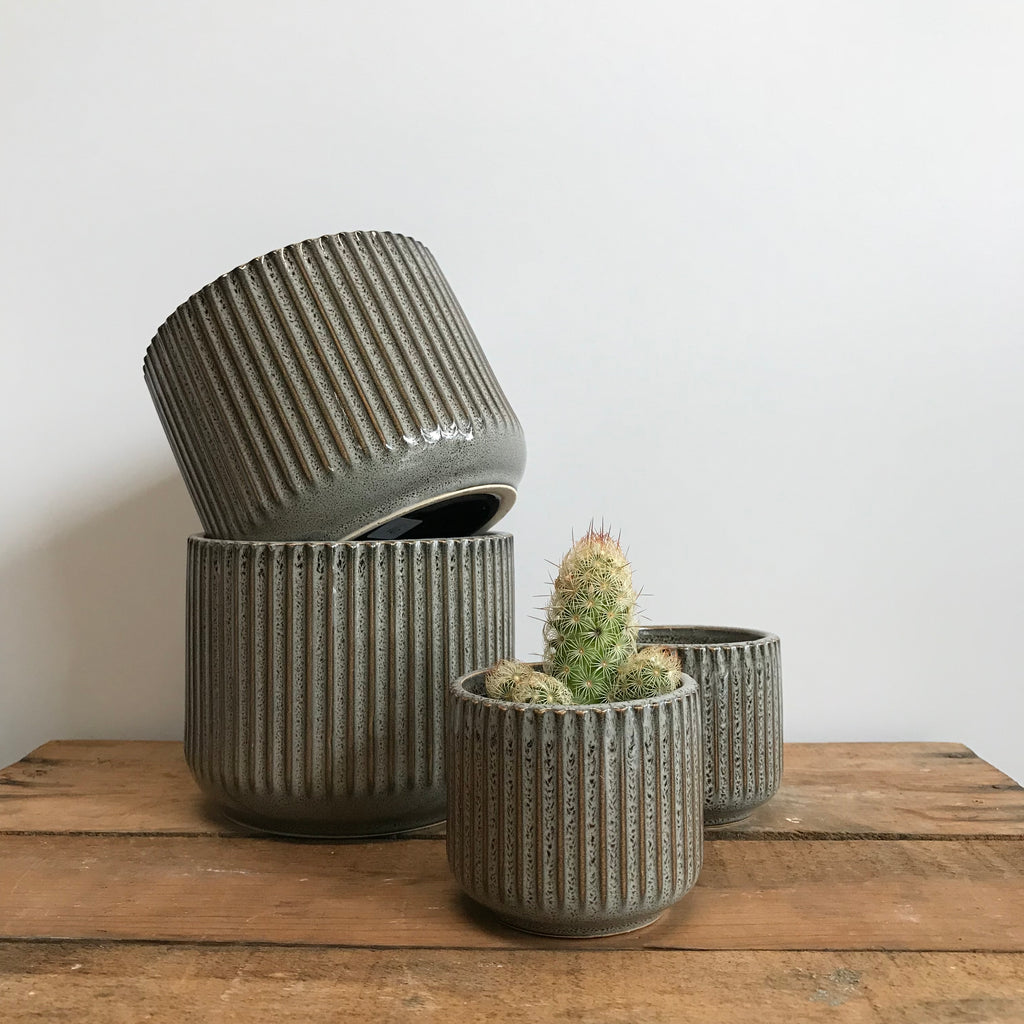 Striped Ceramic Pots