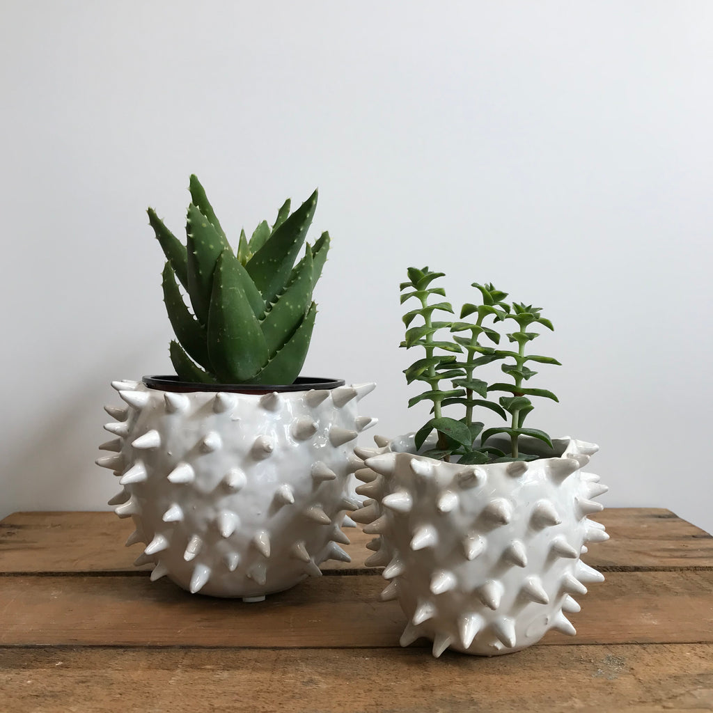 White Spiky Planter